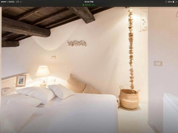 Navona Luxury Penthouse Home 罗马 外观 照片